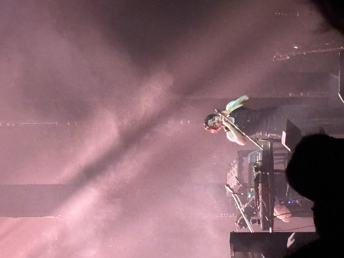 Le violon live perce la brume